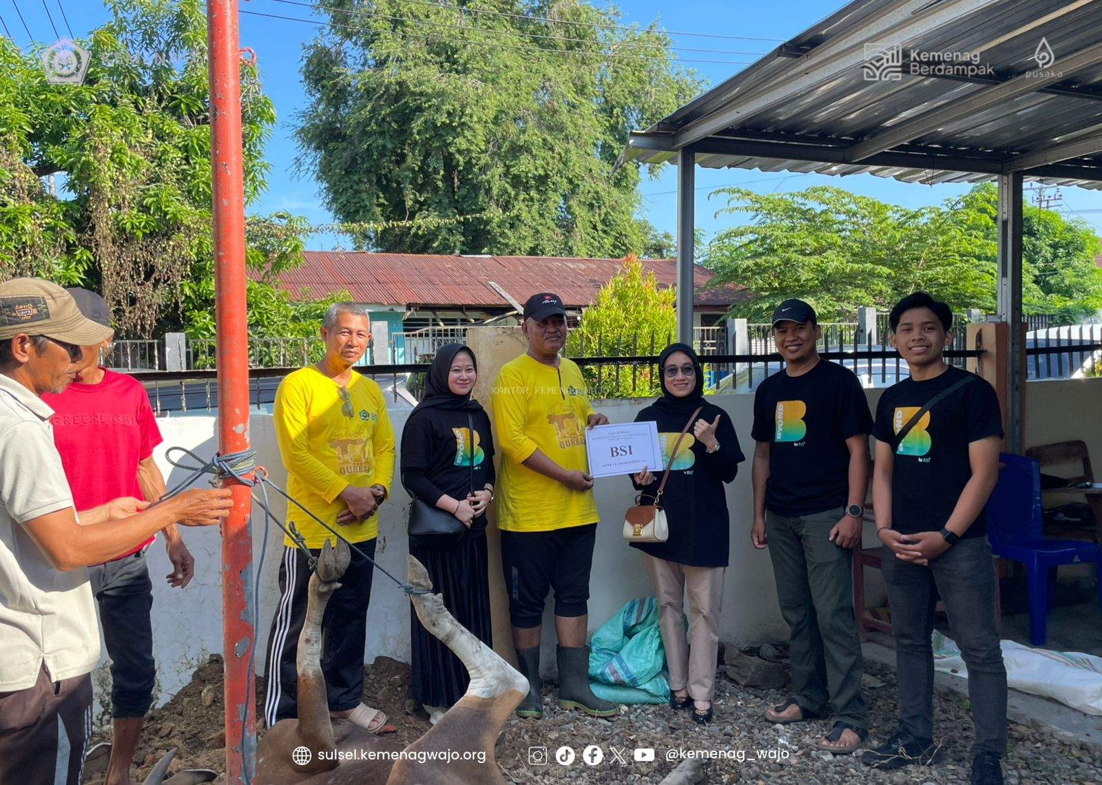 Kemenag Wajo Tebar Kepedulian di Iduladha 1447 H, 15 Ekor Sapi Kurban Disembelih